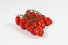 Mynd Cherry tomatoes san marzano