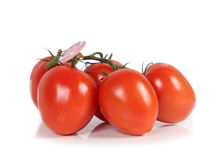 Mynd Tomatoes Roma on the vine (pomodoro)