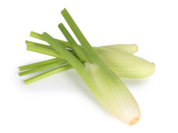 Mynd Baby Fennel 6x200 gr 