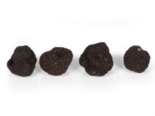 Mynd Black truffle 1 kg.